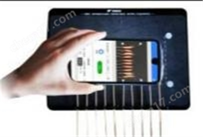 麥穗形態(tài)測(cè)定儀