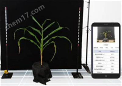 玉米表型檢測(cè)系統(tǒng)